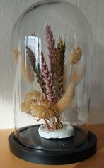 glazen stolp met droogbloemen of anders in te vullen (kaars), Huis en Inrichting, Woonaccessoires | Stolpen, Ophalen, Gebruikt