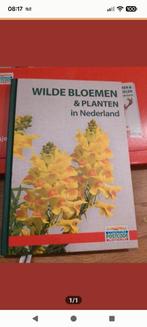 Wilde Bloemen & Planten in Nederland - Natuurboek, Boeken, Ophalen, Nieuw, Bloemen, Planten en Bomen