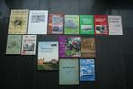 Diverse streekboeken over GROENLO / LIEVELDE / BELTRUM, Boeken, Streekboeken en Streekromans, Gelderland, Ophalen of Verzenden