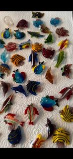 Aquarium vissen, Dieren en Toebehoren, Vissen | Aquariumvissen, Vis