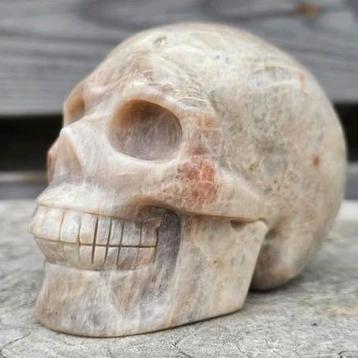 Knappe belomoriet schedel maansteen beschikbaar voor biedingen