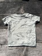 T-shirt dino 80, Kinderen en Baby's, Babykleding | Maat 80, Shirtje of Longsleeve, Gebruikt, Ophalen of Verzenden, Jongetje