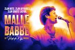 Twee tickets Malle Babbe musical op 16 januari in Den Haag, Twee personen, Januari