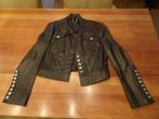 CALVIN KLEIN bruin leren jack, Kleding | Dames, Jassen | Zomer, Maat 38/40 (M), Bruin, Nieuw, Ophalen of Verzenden