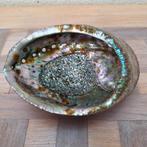Abalone schelp/ paua shell #2, Verzamelen, Ophalen of Verzenden, Schelp(en)