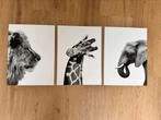 3 dieren posters (30x40), Minder dan 50 cm, Foto of Poster, Minder dan 50 cm, Ophalen of Verzenden