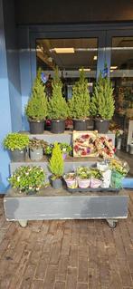 Verrijdbare presenteer trap, Huis en Inrichting, Ophalen, Gebruikt