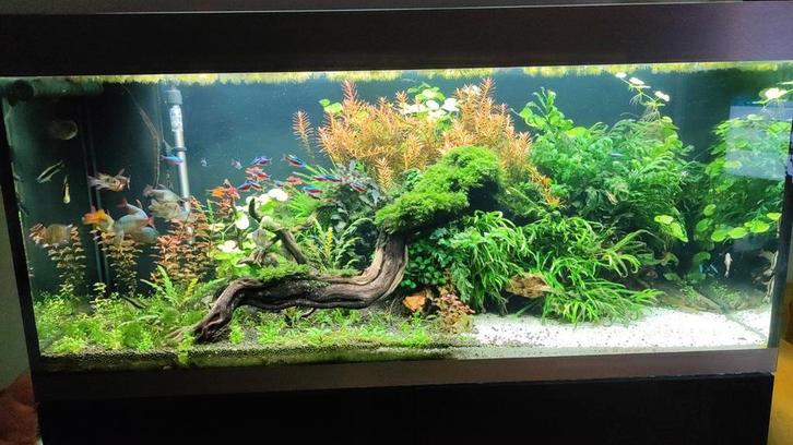 Oasen Highline 300 Aguarium 300L, Dieren en Toebehoren, Vissen | Aquaria en Toebehoren, Gebruikt, Filter of Co2, Ophalen