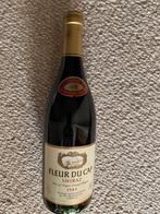 Fleur du Cap - Shiraz - 1989, Ophalen of Verzenden, Afrika, Rode wijn