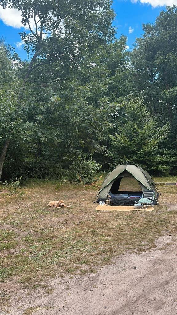 2 persoons tent nieuw, Caravans en Kamperen, Tenten, Nieuw, Ophalen of Verzenden