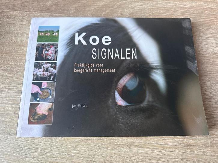 Jan Hulsen - Koesignalen, Boeken, Wetenschap, Zo goed als nieuw, Ophalen of Verzenden