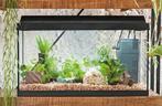Aquarium 60 cm, Ophalen of Verzenden, Gebruikt, Leeg aquarium