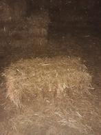 kleine balen stro, Dieren en Toebehoren, Dierenvoeding, Ophalen, Vee