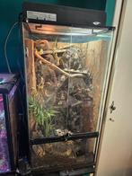 Paludarium 45x45x90, Dieren en Toebehoren, Reptielen en Amfibieën | Toebehoren, Ophalen, Gebruikt, Terrarium of Paludarium