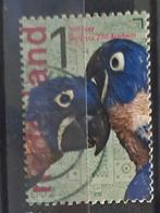 Modern Nederland papegaai, Ophalen of Verzenden