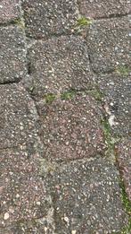 Gratis kinderkopjes, Tuin en Terras, Ophalen, Gebruikt, 10 m² of meer, Beton