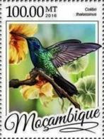 2016 Mozambique - Fauna Vogels Kolibries, Ophalen of Verzenden, Dier of Natuur, Postfris