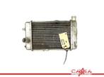 RADIATEUR Aprilia RSV 1000 (R) Mille 1998-2003 (RSV1000), Gebruikt