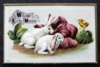 Reliefkaart Konijnen en kuiken verorberen groentes,  USA, Verzamelen, Ansichtkaarten | Dieren, Ongelopen, Knaagdier, Voor 1920
