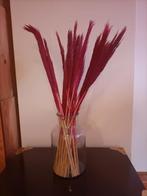 Droogbloemen rietpluimen paars rood, Huis en Inrichting, Woonaccessoires | Droogbloemen, Ophalen, Zo goed als nieuw