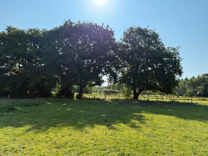 Pensioen / pension plaatsen vrij per 1 April, Dieren en Toebehoren, Stalling en Weidegang, Stalling, Weidegang