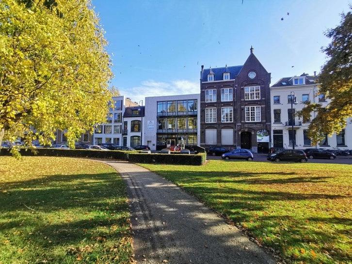 NIEUW! Woonruimte te huur Eusebiusbuitensingel, Arnhem, Huizen en Kamers, Huizen te huur