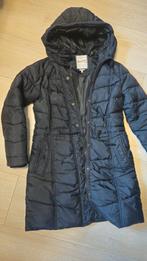 Winterjas dreimaster maat L, Kleding | Dames, Jassen | Winter, Maat 38/40 (M), Dreimaster, Zwart, Ophalen of Verzenden