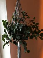 Macramé plantenhanger lichtgrijs 2, Ophalen of Verzenden, Nieuw