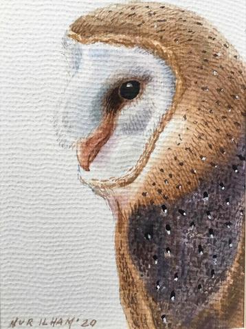 Aquarel Kerkuil geschilderd door kunstschilder Nur Ilham beschikbaar voor biedingen