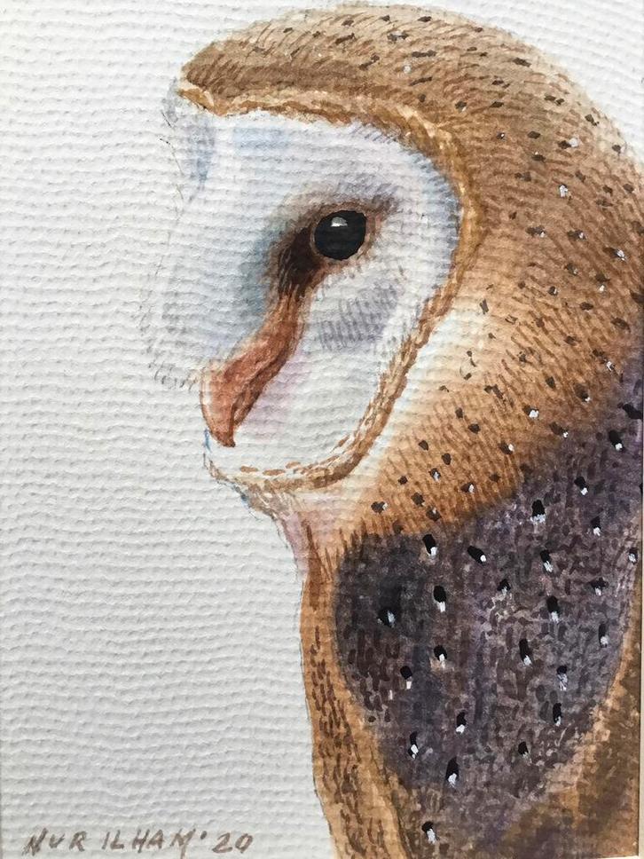 Aquarel Kerkuil geschilderd door kunstschilder Nur Ilham, Antiek en Kunst, Kunst | Schilderijen | Modern, Ophalen of Verzenden