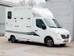 2-paards vrachtwagen / Paardenwagen Te Huur (B Rijbewijs), Dieren en Toebehoren, Ophalen, Renault Master, Renault Master, Overige typen