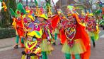 Carnaval kleding set 75 pakken vogels, Ophalen, Gedragen, Carnaval, Kleding