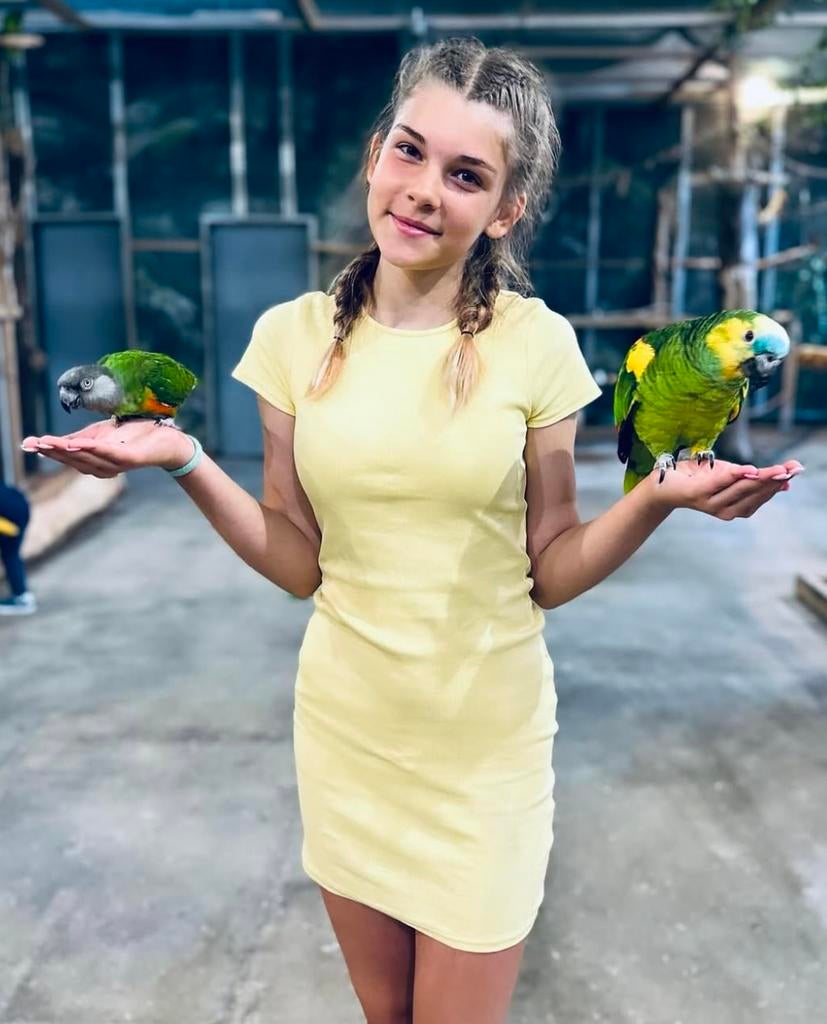 kies samen met uw kinderen de vogel uit groot of klein, Dieren en Toebehoren, Vogels | Parkieten en Papegaaien, Papegaai, Meerdere dieren