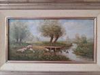 Schilderij: Schapen in Landschap door Henk Roosink, Antiek en Kunst, Kunst | Schilderijen | Klassiek, Ophalen of Verzenden