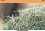 Gezocht omgeving Afferden L. Bio hooi voor schapen, Dieren en Toebehoren, Dierenvoeding, Ophalen of Verzenden, Vee