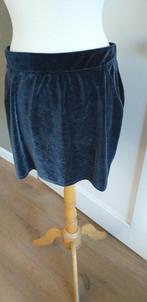 Nieuw!Velours rokje,maat XL,blauwgrijs, Zwart, Maat 46/48 (XL) of groter, Nieuw, Ophalen of Verzenden