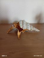 Capodiemonte schelp, Verzamelen, Ophalen of Verzenden, Zo goed als nieuw, Figuurtje