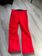 Skibroek heren, maat 176, Kleding | Heren, Wintersportkleding, Broek, Brunotti, Overige maten, Ophalen of Verzenden