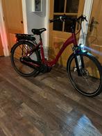 Das ebike elektrische fiets, Fietsen en Brommers, Elektrische fietsen, Ophalen