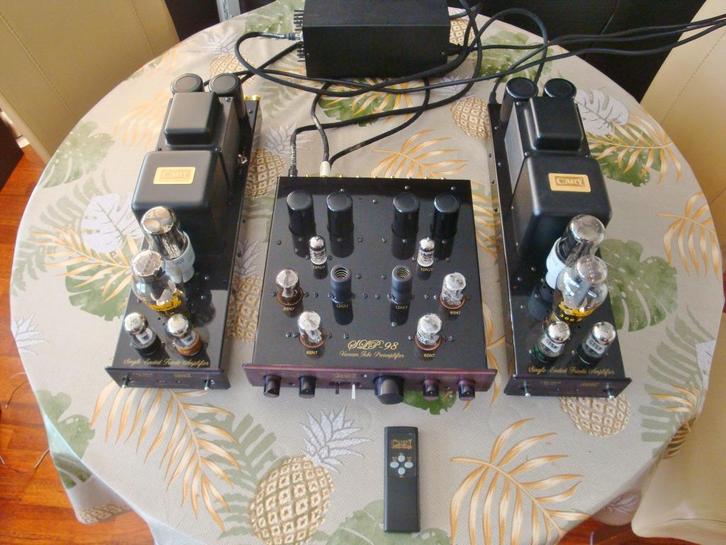 Uniek! Cary buizenversterker set 2x 15 Watt Klasse A, Audio, Tv en Foto, Buizenversterkers, Versterker, Ophalen