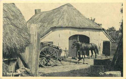 (301-112-037) Veluwe T Boerenerf, Verzamelen, Ansichtkaarten | Nederland, Gelderland, Verzenden