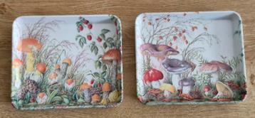 Twee Trays Paddestoelen beschikbaar voor biedingen