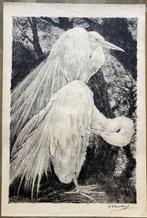 Litho D. Homberg uit 1935 met twee zilverreigers., Ophalen of Verzenden