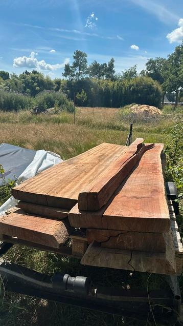 Hardhouten schaaldelen beschikbaar voor biedingen