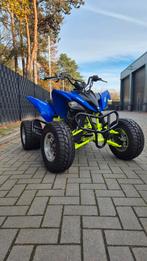 Yamaha Raptor // 250 // 2010 //, Fietsen en Brommers, Minibikes, Midibikes en Pitbikes, 250 cc, Overige typen, Yamaha, Ophalen of Verzenden