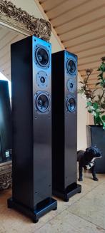 Duson DC50 SE High End - Zuilspeaker Satin Black., Overige merken, Front, Rear of Stereo speakers, Ophalen of Verzenden, Zo goed als nieuw