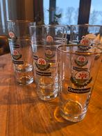 Oranjeboom Glazen - Set van 6, Glas of Glazen, Ophalen of Verzenden, Overige stijlen, Glas