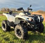 Yamaha grizzly 700, 700 cc, 1 cilinder, 12 t/m 35 kW