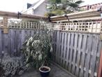 Tuin POESDICHT ? gegarandeerd, Ophalen of Verzenden, Nieuw