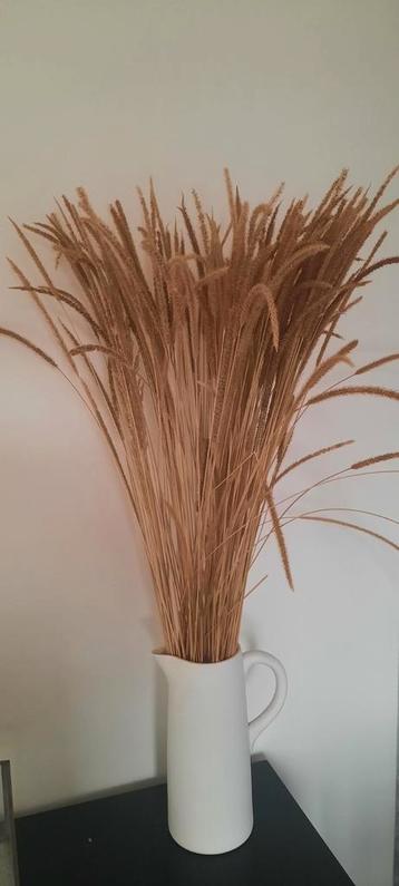 Droogbloemen  beschikbaar voor biedingen